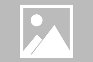 MK体育官网- 柏林赫塔遭遇四连败，球迷抗议要求管理层辞职  